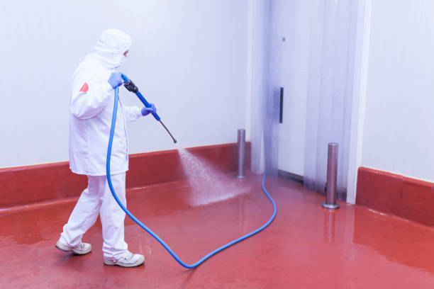 Best Pool Deck Cleaning  in Green Village, NJ