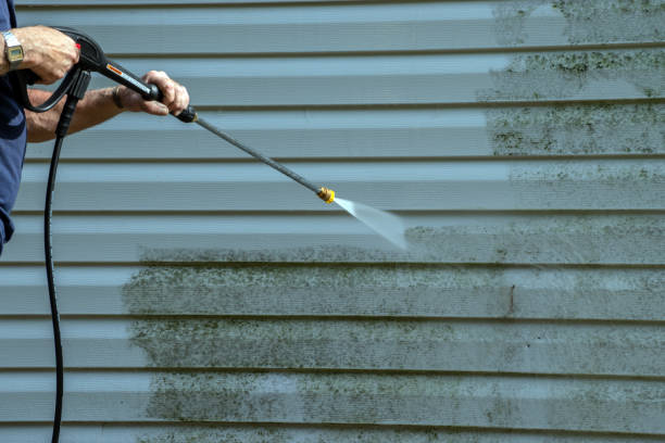 Best Driveway Pressure Washing  in Green Village, NJ
